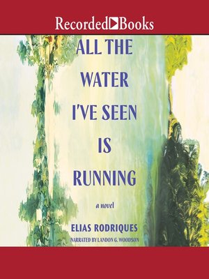 cover image of All the Water I've Seen Is Running